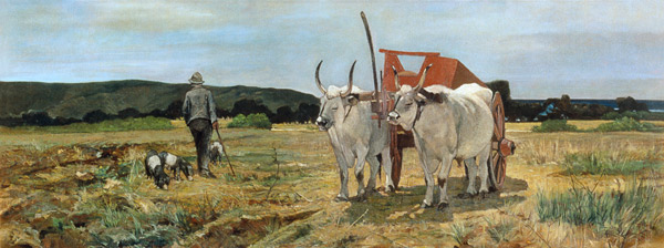 Ox-cart-in-the-Tuscan-Maremma